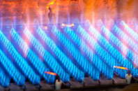 Braehead Of Lunan gas fired boilers